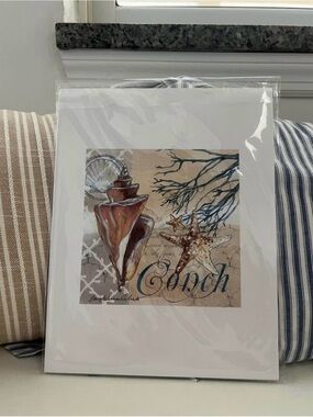 Seashell Conch Art Print in Brown and Blue